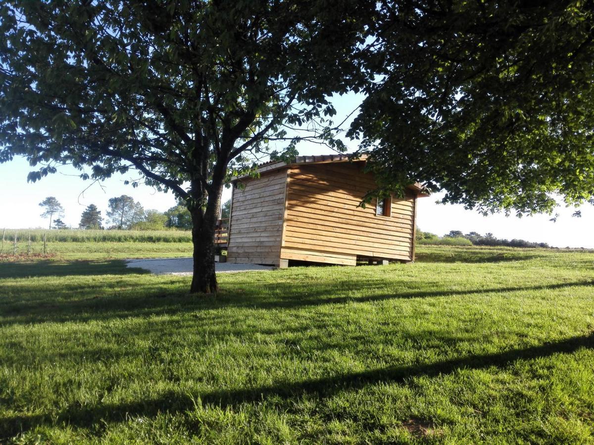 Le Chalet Douillet Saint-Genies Exteriér fotografie